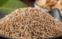 孜然包裝機，給您最好的享受